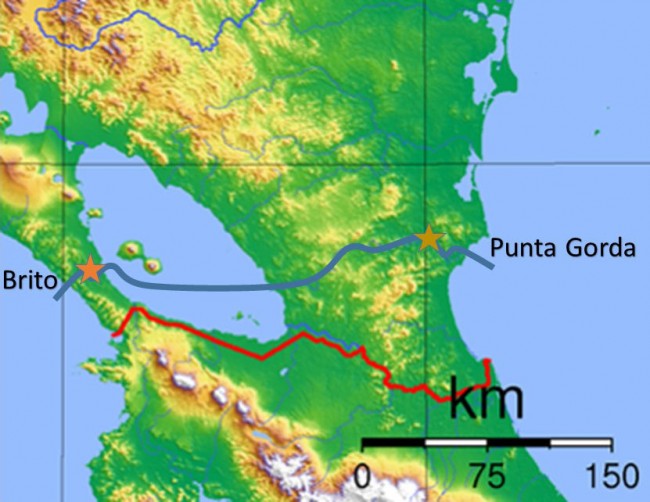 Nicaragua Canal project (January 2015) (blue line). Stars indicate Brito and Camilo locks (Photo: Courtesy of WikiCommons)