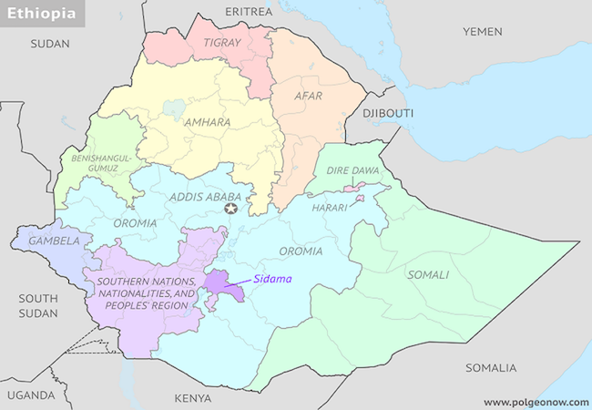 The consequences of Ethiopia’s civil conflict will be acute – Foreign ...